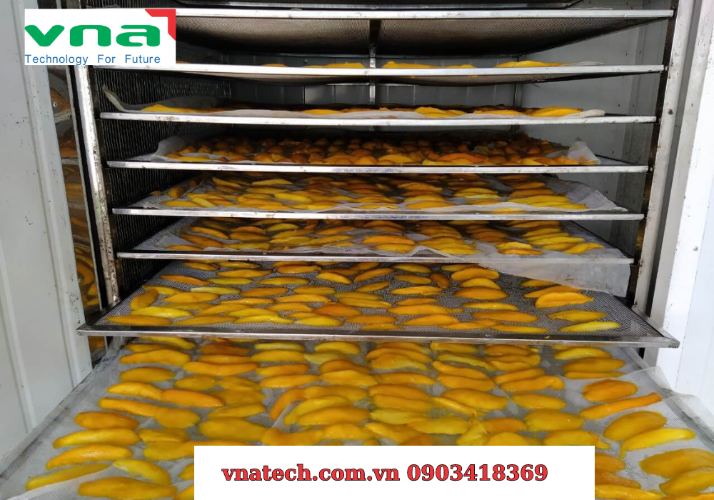 Industrial food dryers: Elevating food processing efficiency